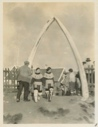 Image of The Arch made of jaw bones of Greenland whale